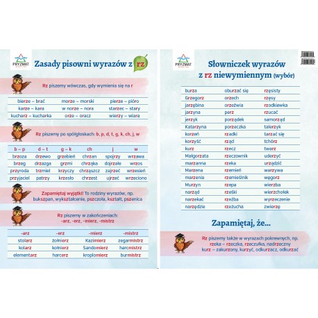 Plansza Ortograficzna Pisownia RZ Wydawnictwo Pryzmat